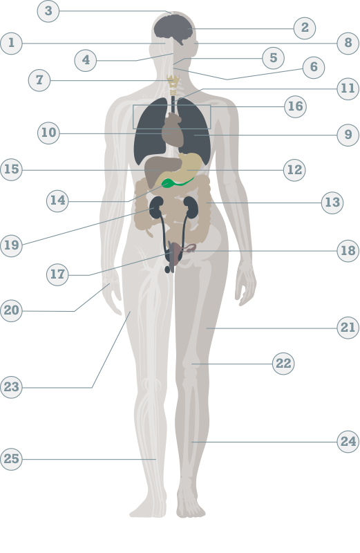 elfbar nachfüll pod läuft aus Cigarette électronique plan de campagne main image 1